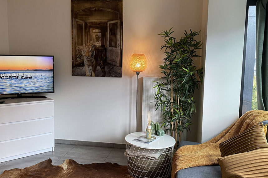 antwerp city centre apartment with tv